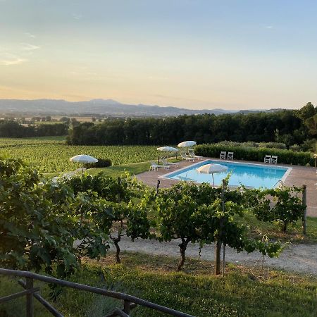 Poggio Alle Vigne Torgiano Luaran gambar
