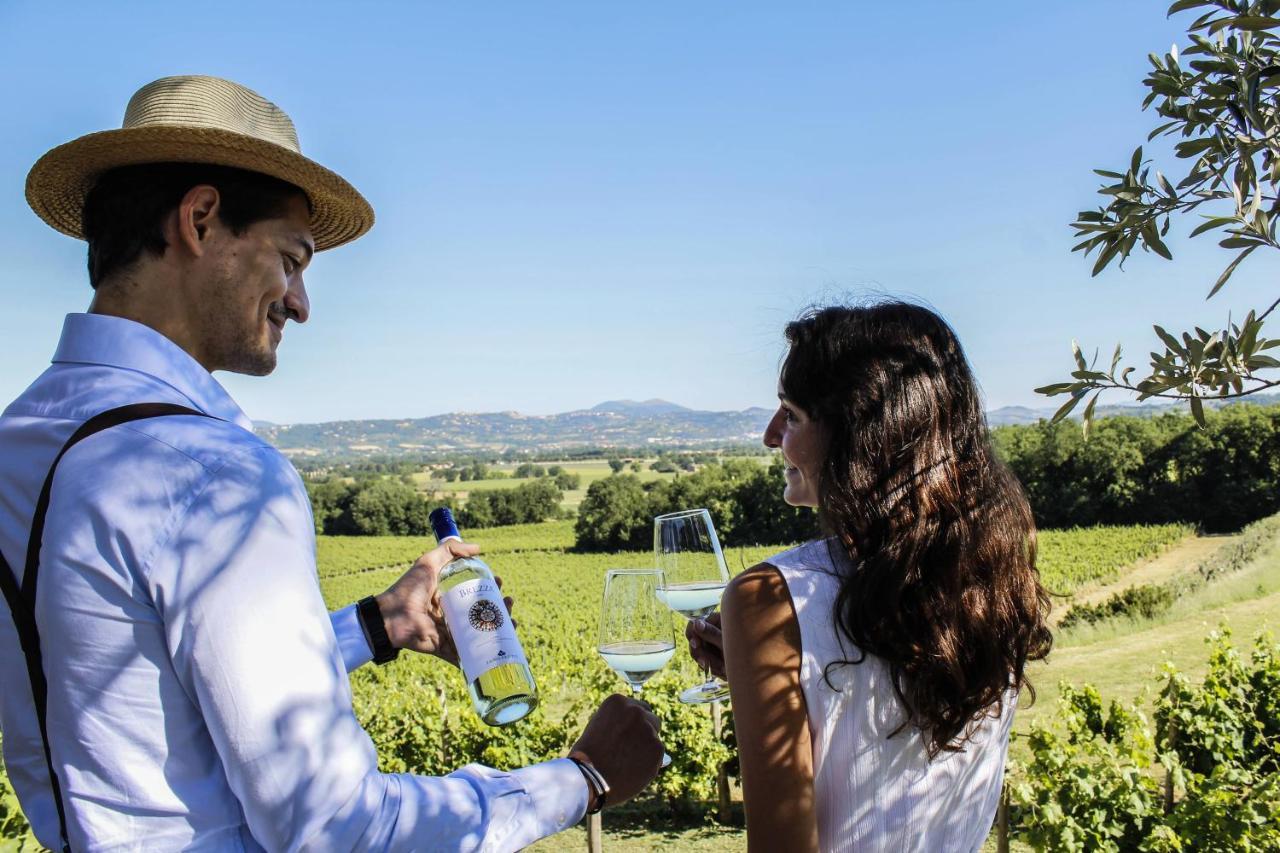 Poggio Alle Vigne Torgiano Luaran gambar