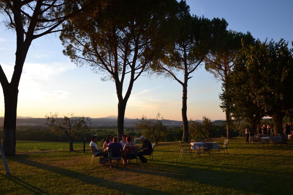 Poggio Alle Vigne Torgiano Luaran gambar